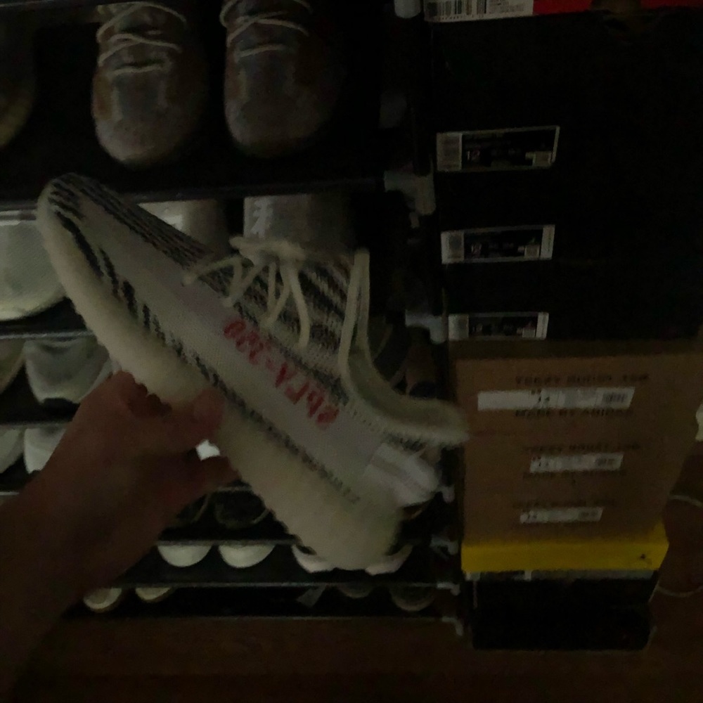 Yeezy zebra sz11